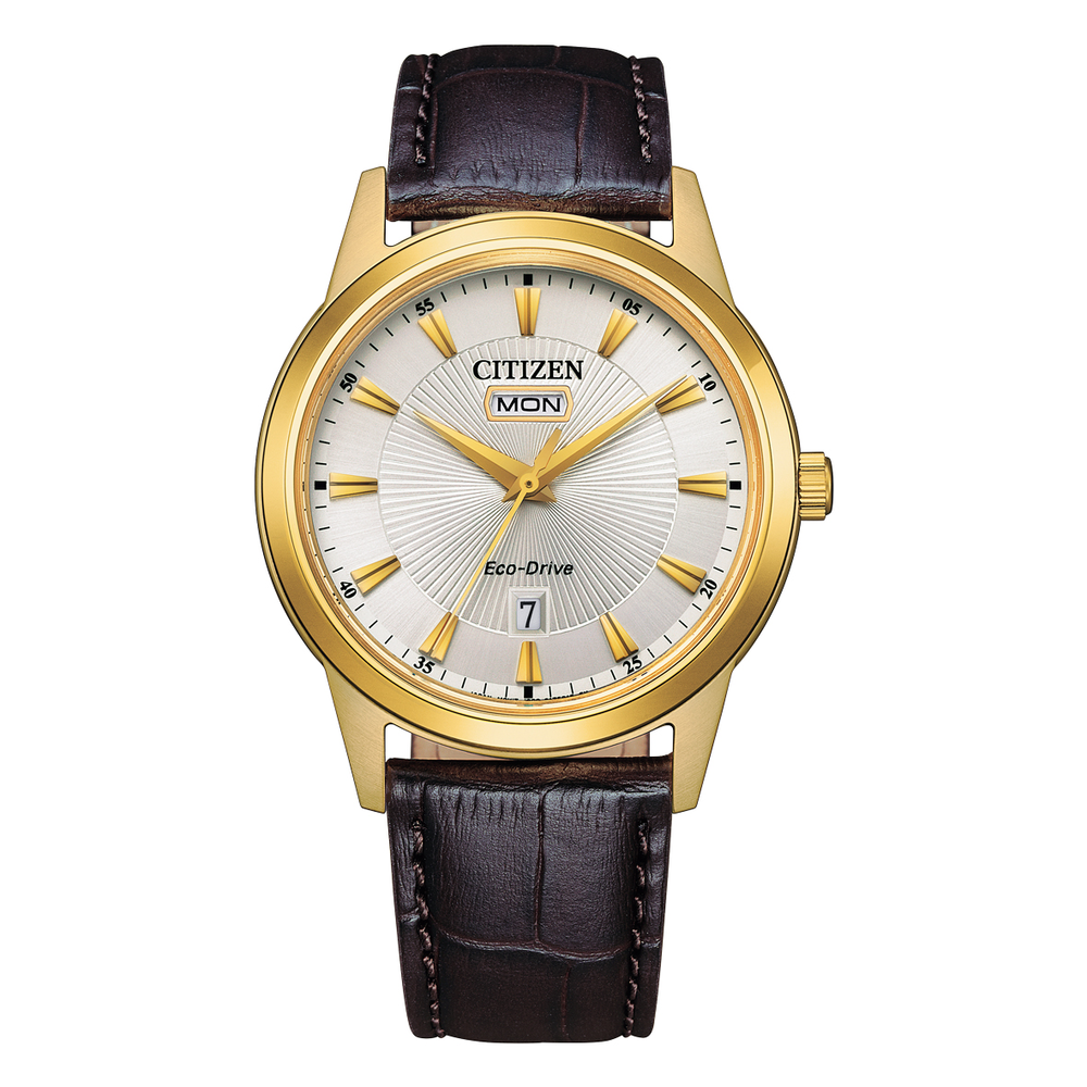 Citizen Eco-Drive (AW0102-13A)